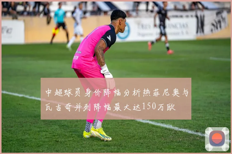 中超球员身价降幅分析热菲尼奥与瓦吉奇并列降幅最大达150万欧