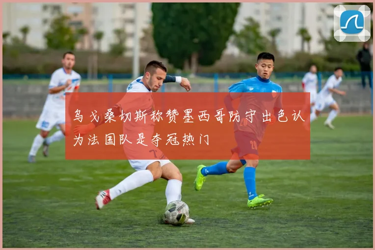 乌戈桑切斯称赞墨西哥防守出色认为法国队是夺冠热门